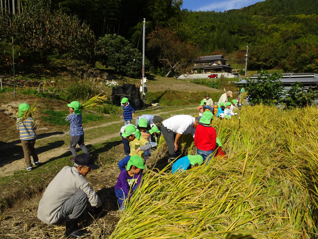 お米・野菜の栽培